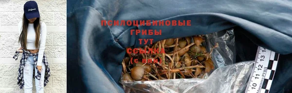 соль ск Алексин