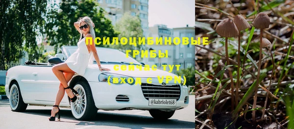ГАЛЛЮЦИНОГЕННЫЕ ГРИБЫ Чекалин